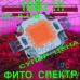 10Вт Фіто світлодіод для росту рослин 30 х30mil 10Вт Фіто світлодіод для росту рослин 30 х30mil